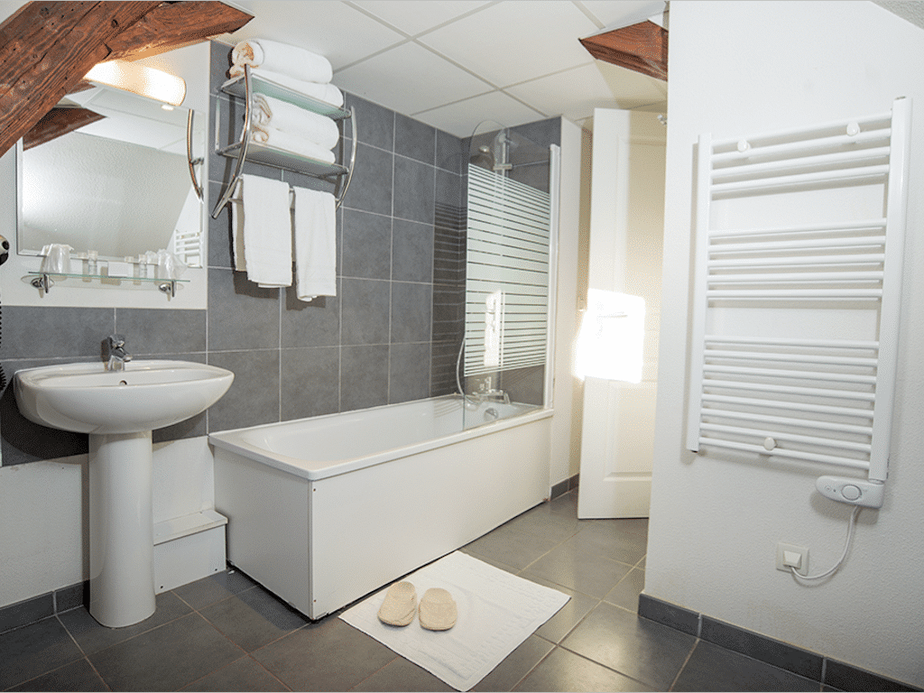 Annecy – Le royal Privilodges